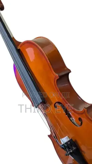 Violins Available (Brand New)
