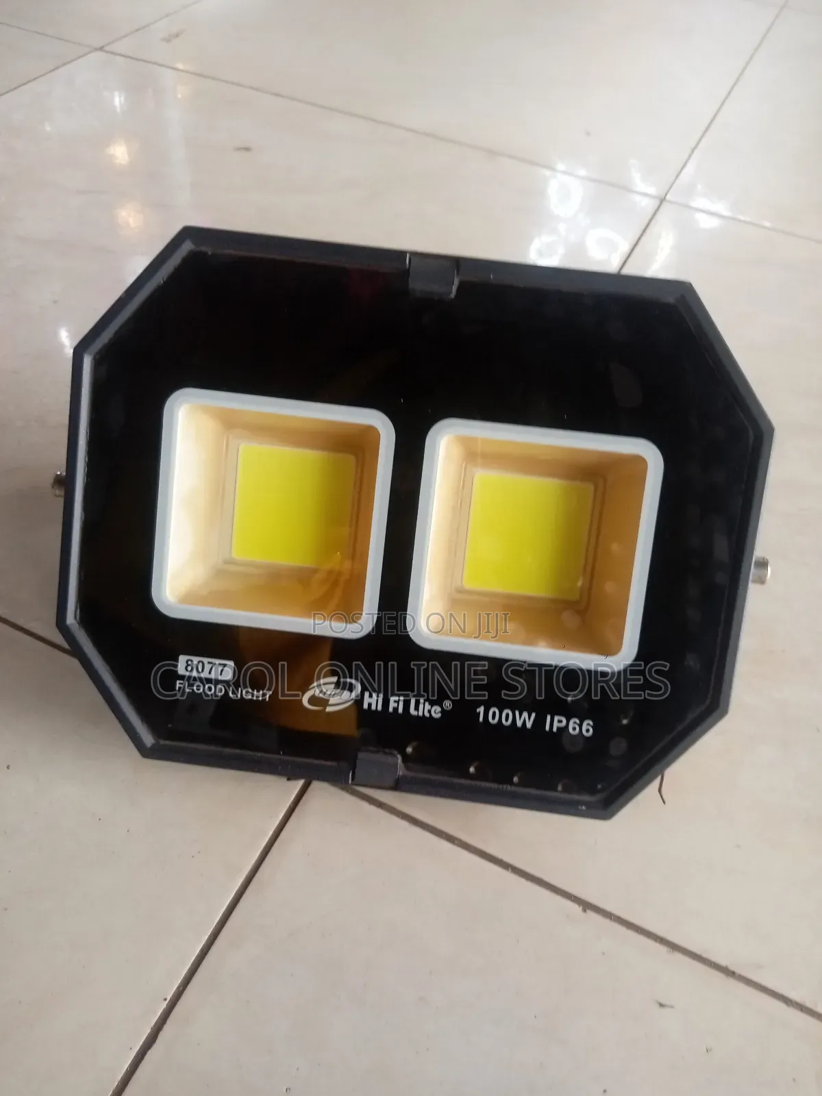 100watts Flood Light