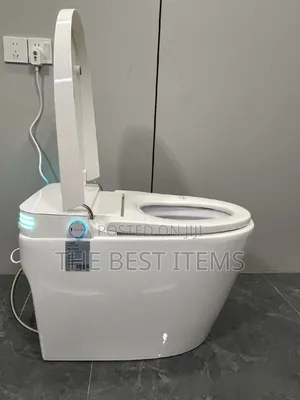 Smart Toilet Automatic Toilet With Bidet