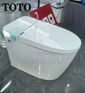 Smart Toilet Automatic Toilet With Bidet