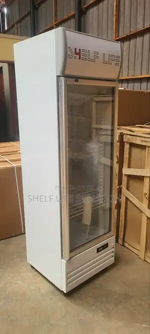 Supermarket Commercial Display Glass Door Refrigerator With Air Cooler