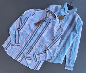 Gentle Stripped Shirts