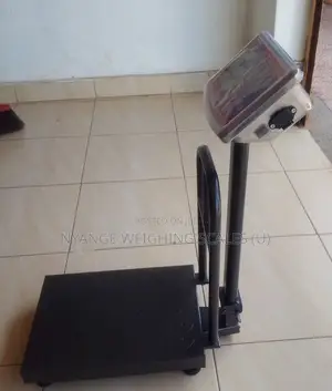 Pricing Weighing Scale 99/0.001kg Weigh Display Digital Weighing Scale