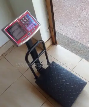 Electronic Digital Weighing Scale 99/0.001g Platform Weighing Scale