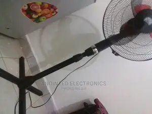 Stand Fans Black