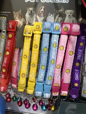 Colors Puppy