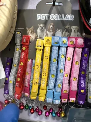 Colors Puppy