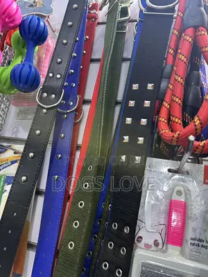 Dog Collars Big Dogs