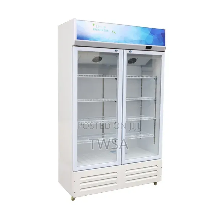 Double Door Display Case