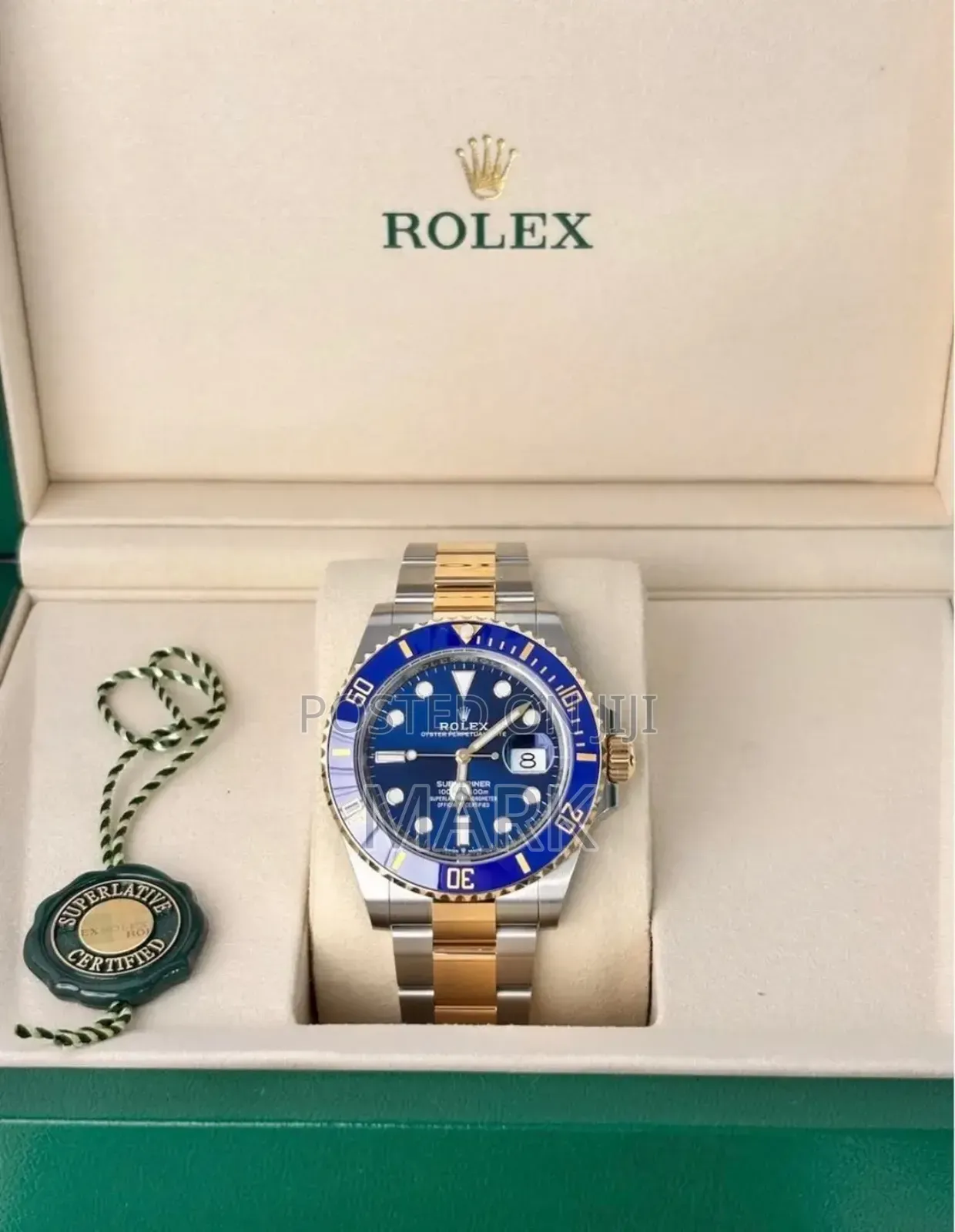 Gold-Blue Interface Watch