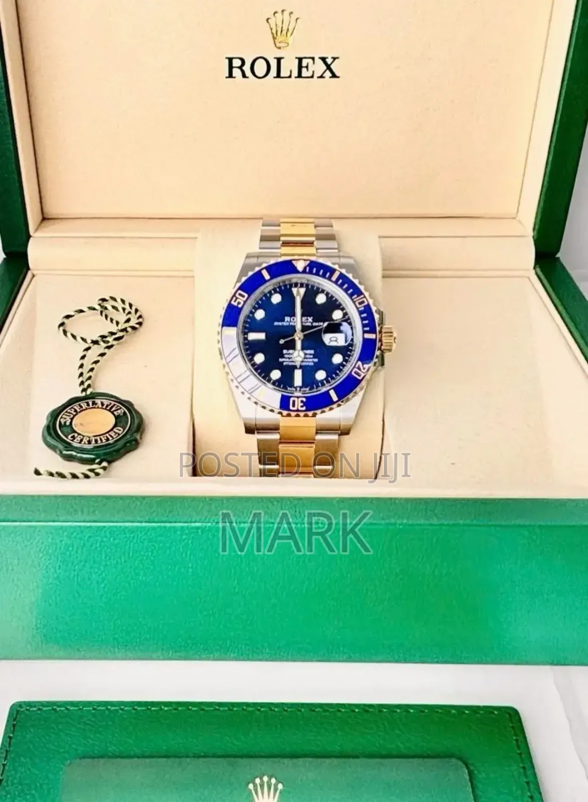 Gold-Blue Interface Watch