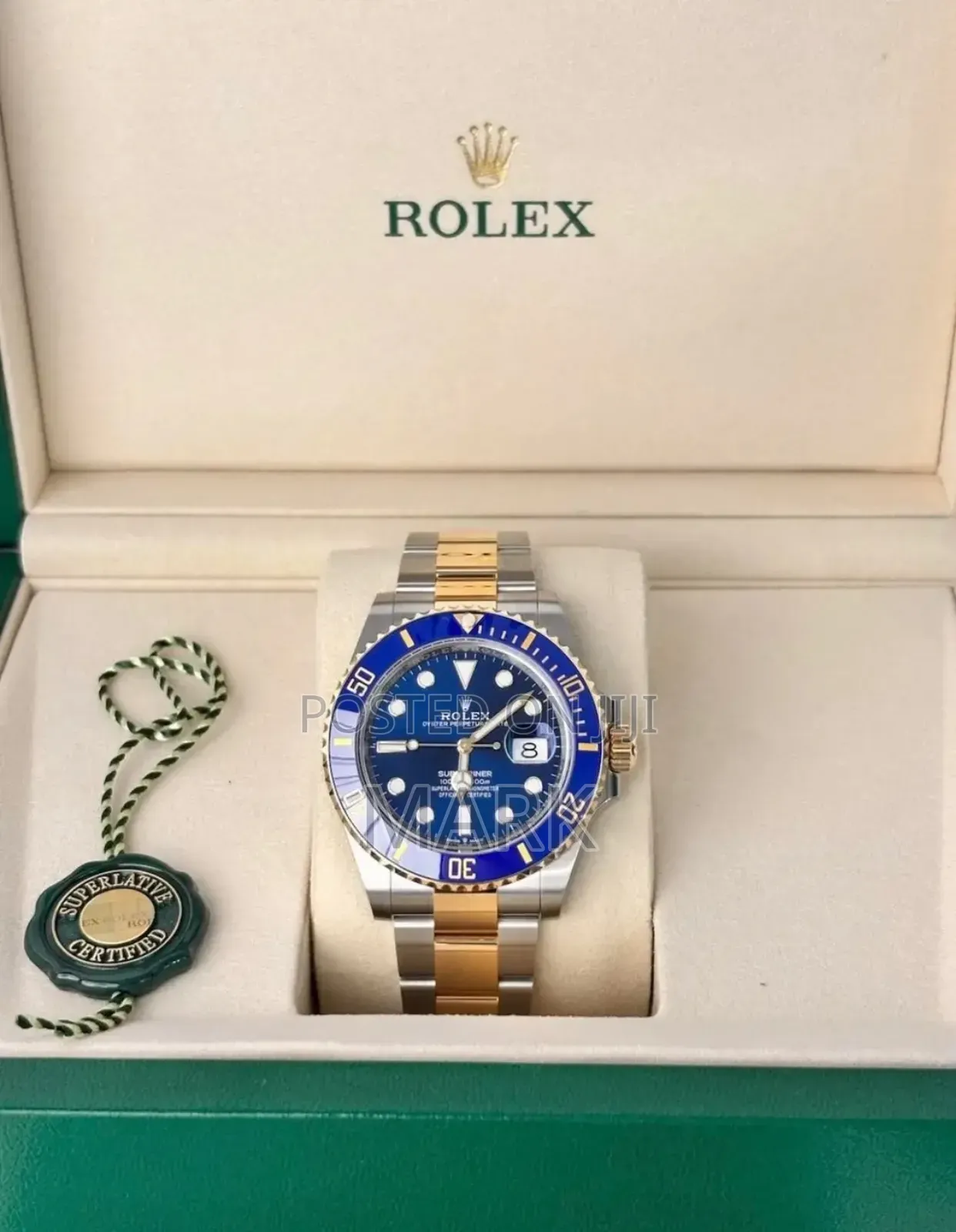 Gold-Blue Interface Watch