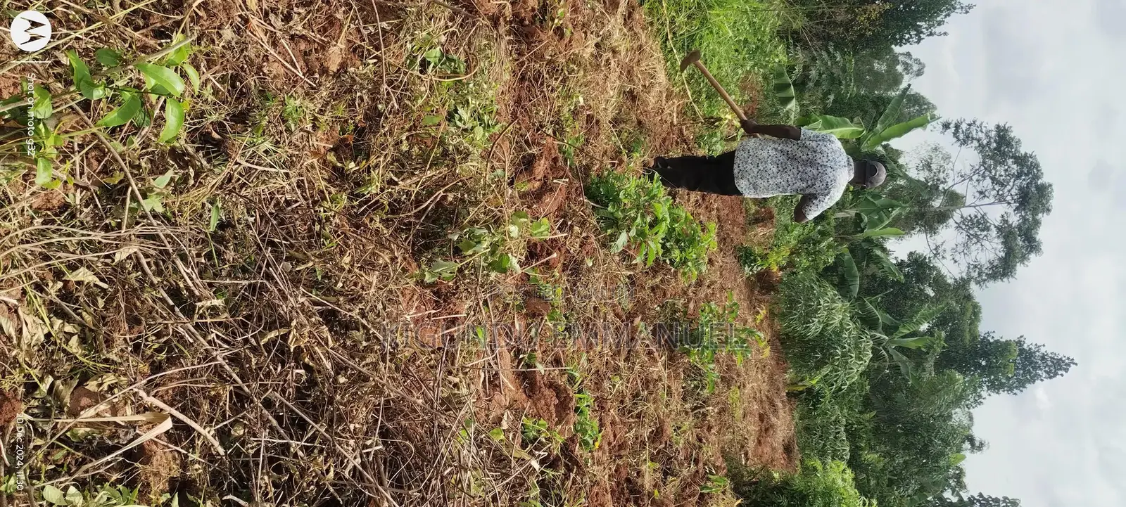 Two Acres of Land for Sale, Ready Title