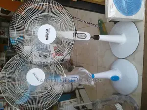 Standing Fans
