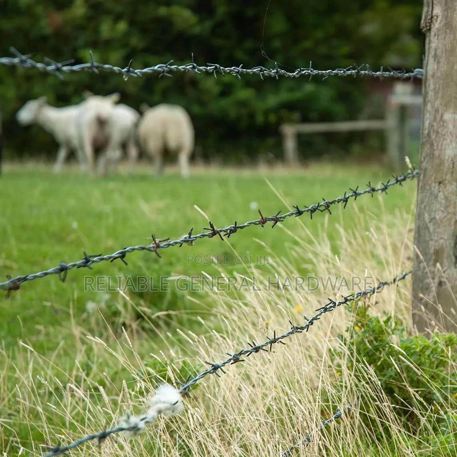 Barbed Wire Installation Services/Activity