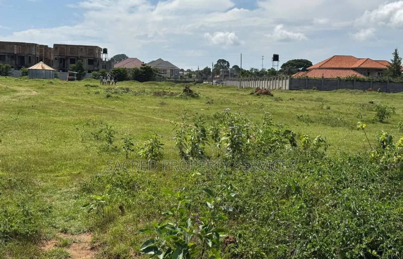 Tittled Land 50ft by 100ft