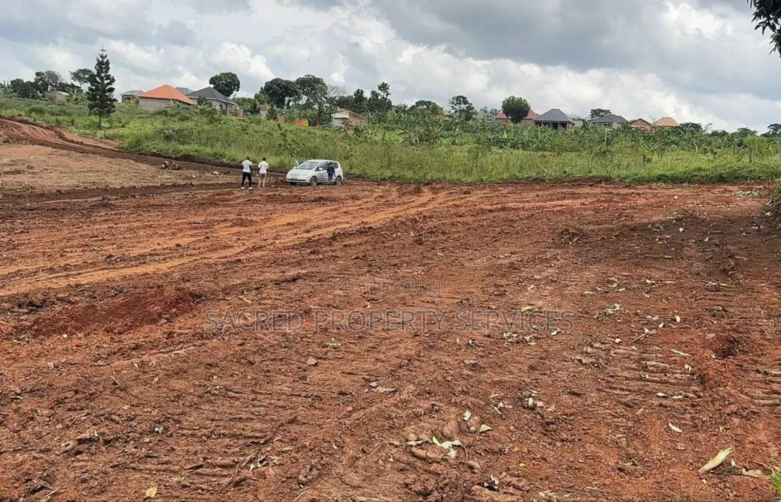 Tittled Land 50ft by 100ft