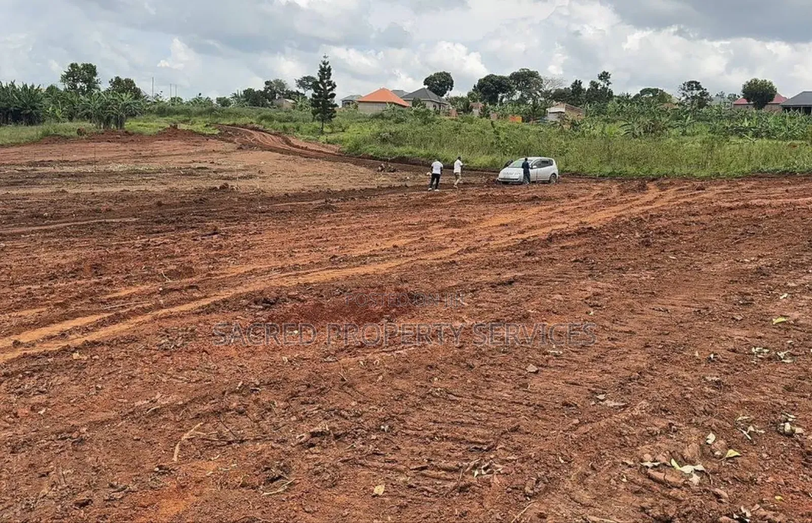 Tittled Land 50ft by 100ft