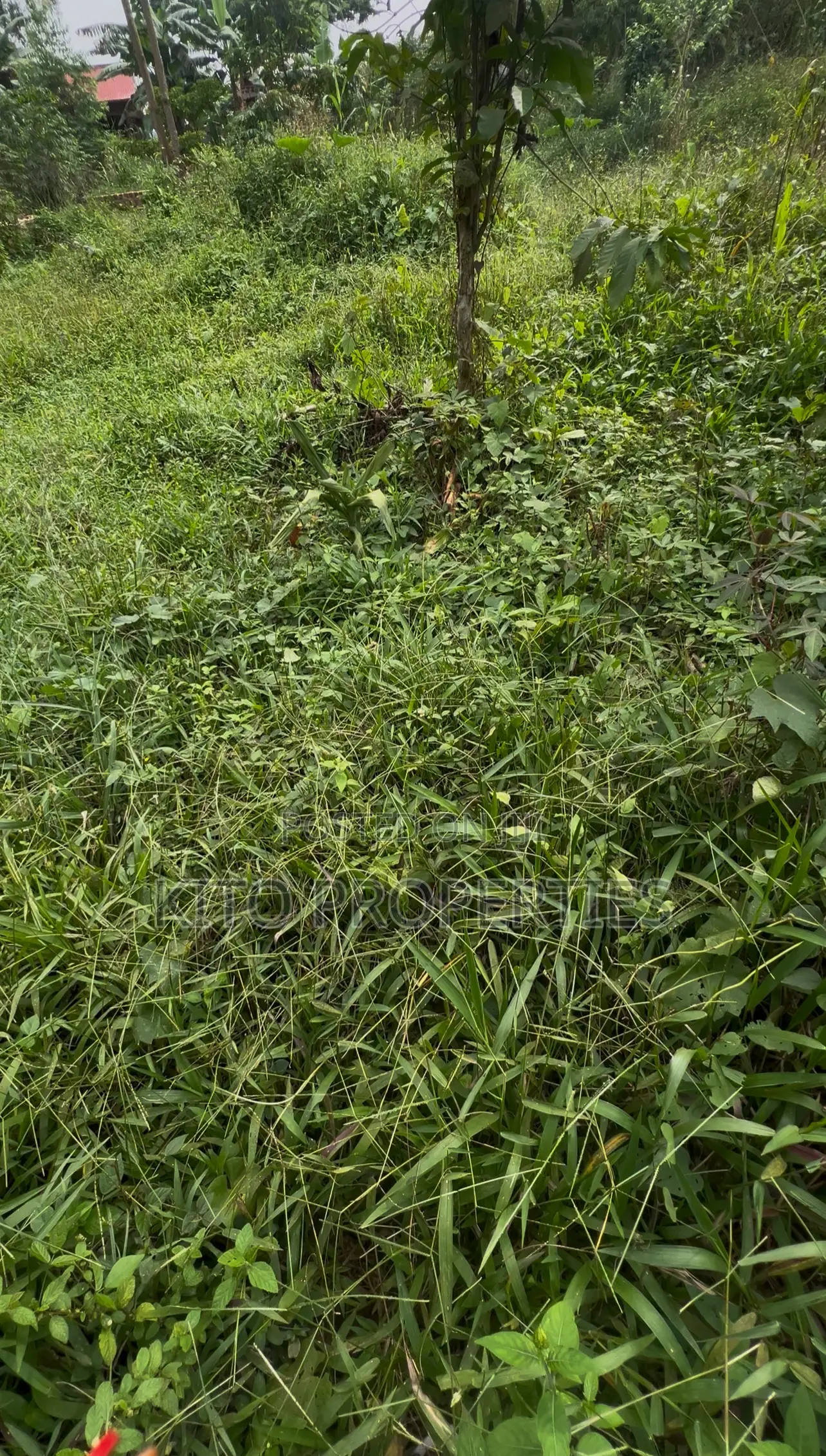 30x60feet Plot of Land on Sale in Bukerere