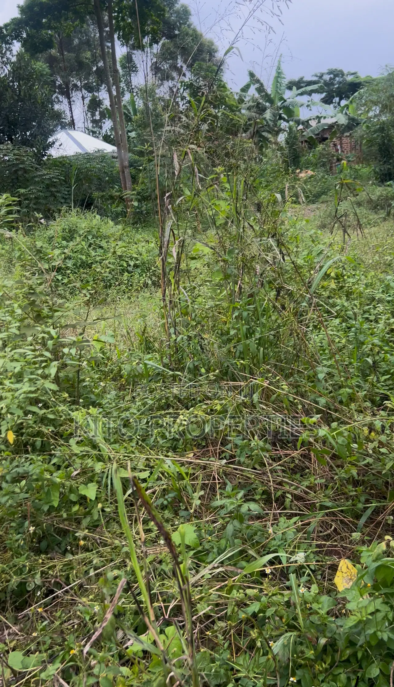 30x60feet Plot of Land on Sale in Bukerere