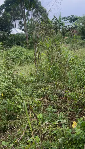 30x60feet Plot of Land on Sale in Bukerere