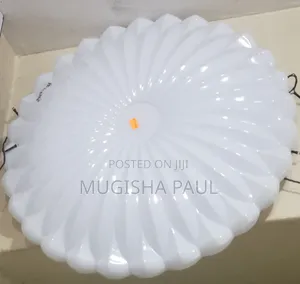 Ceiling Lights