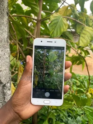 Oppo A57 64 GB Rose Gold
