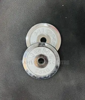 Weight Lifting Plates 2.5kg (Silver)