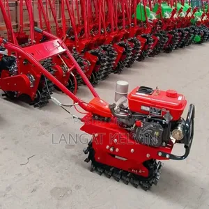 Chain Tiller Diesel Walking Tractor With All Accessories 