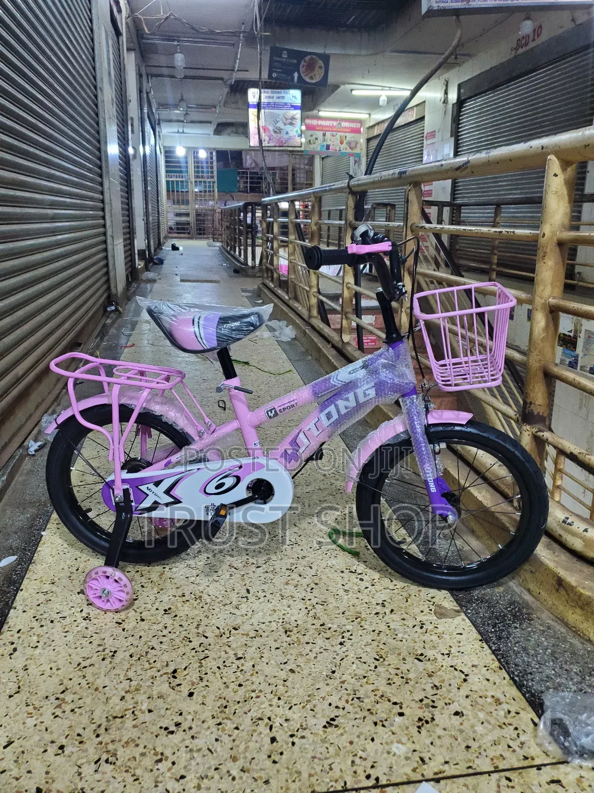 Pink Bicycle Girl