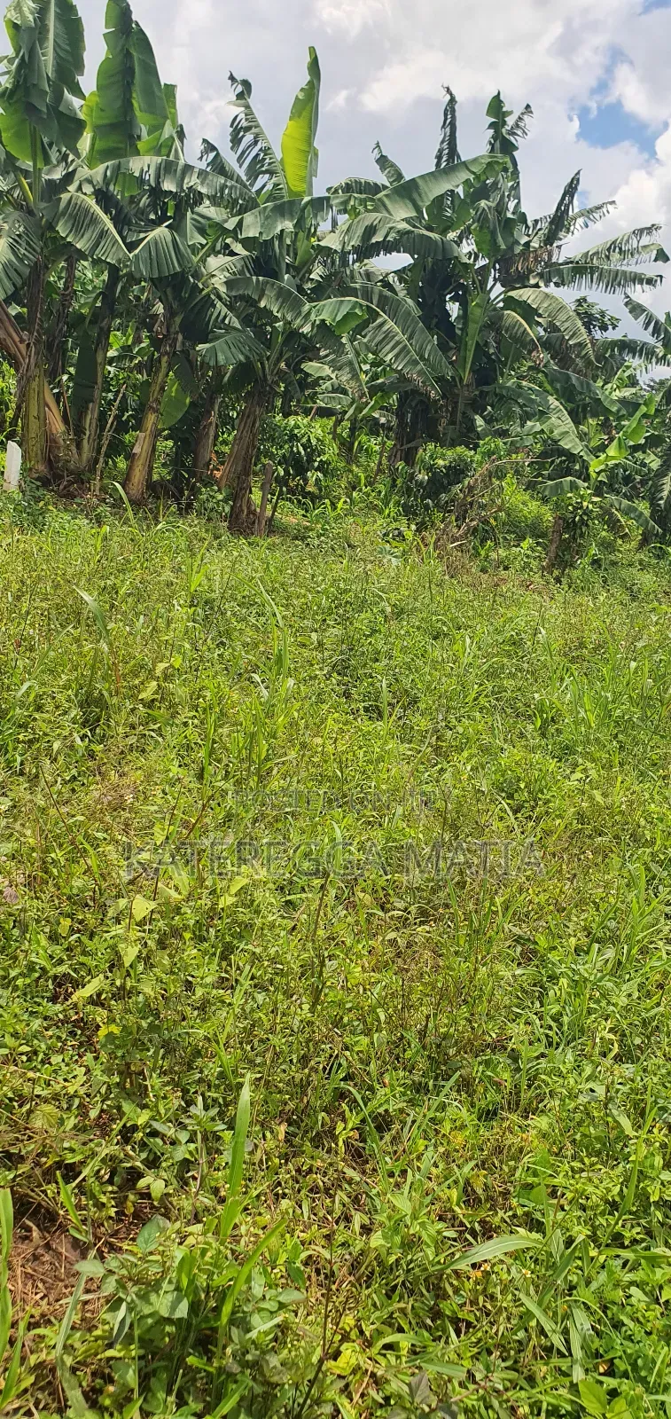 Land for Sell