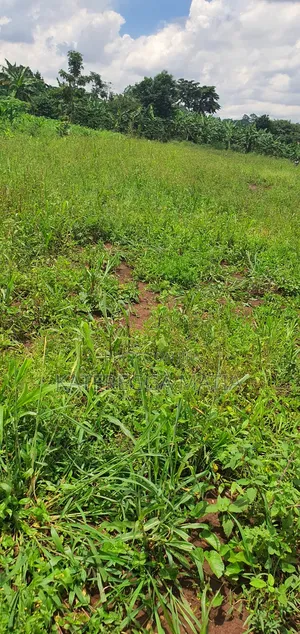 Land for Sell