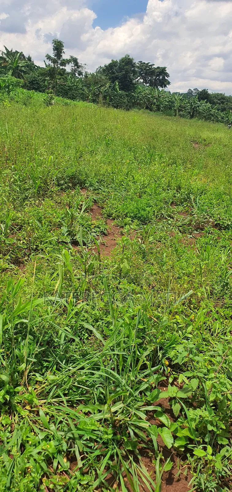 Land for Sell