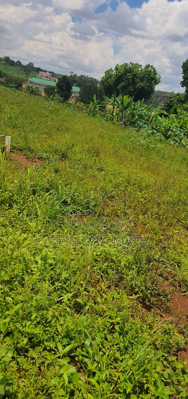 Land for Sell