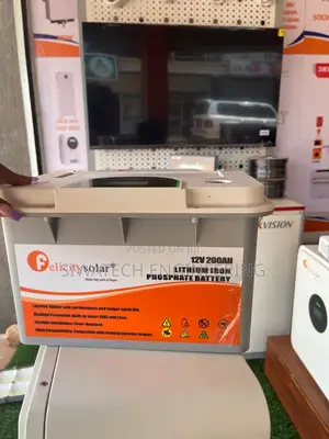 Solar Lithium Iron Phosphate Battery 200ah, 2.56kw 12v 6000cycles