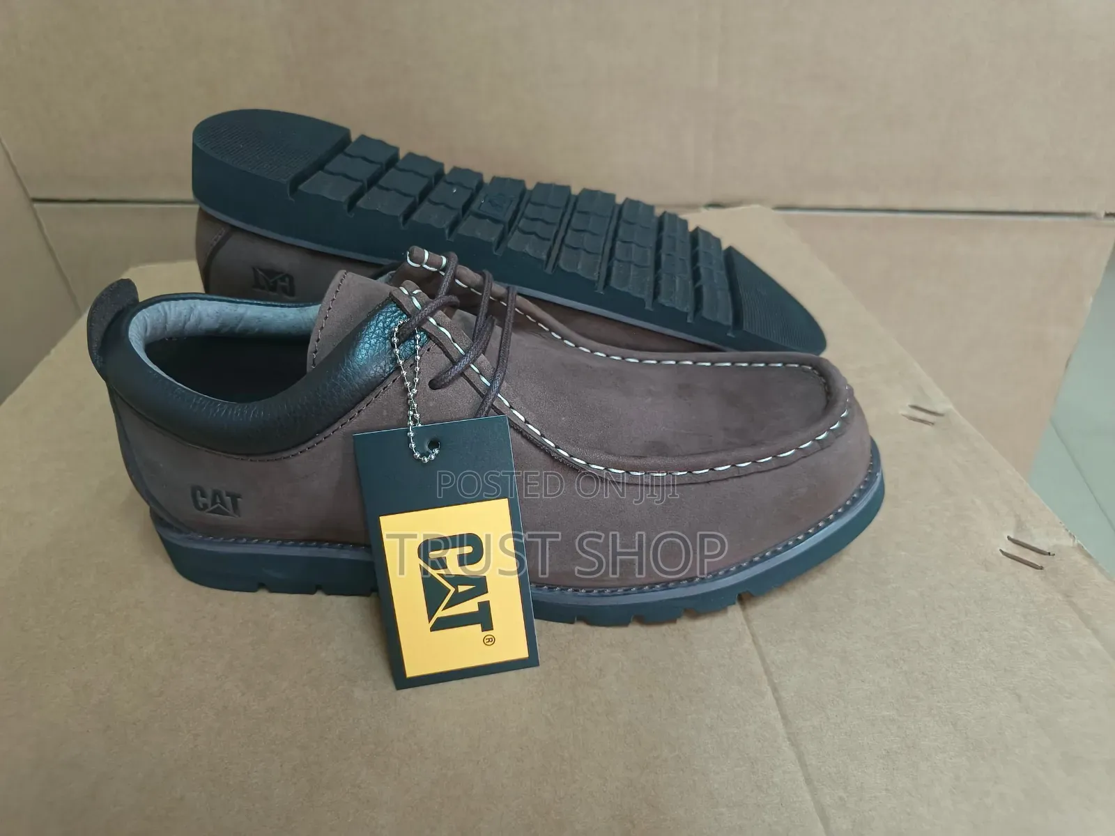 Black Cat Shoe