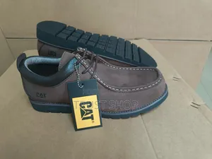Black Cat Shoe