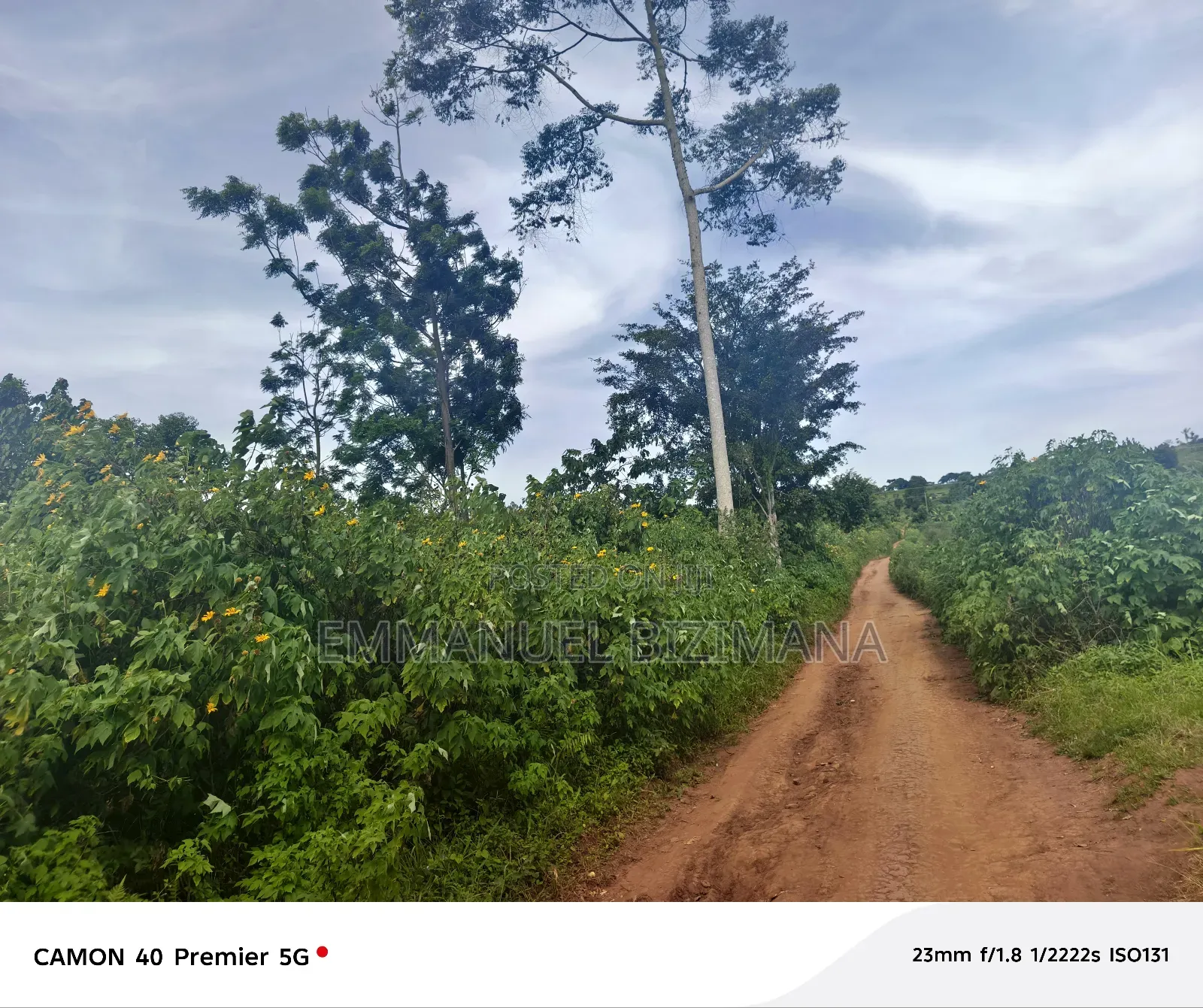 17 Acres of Land for Sale