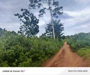 17 Acres of Land for Sale