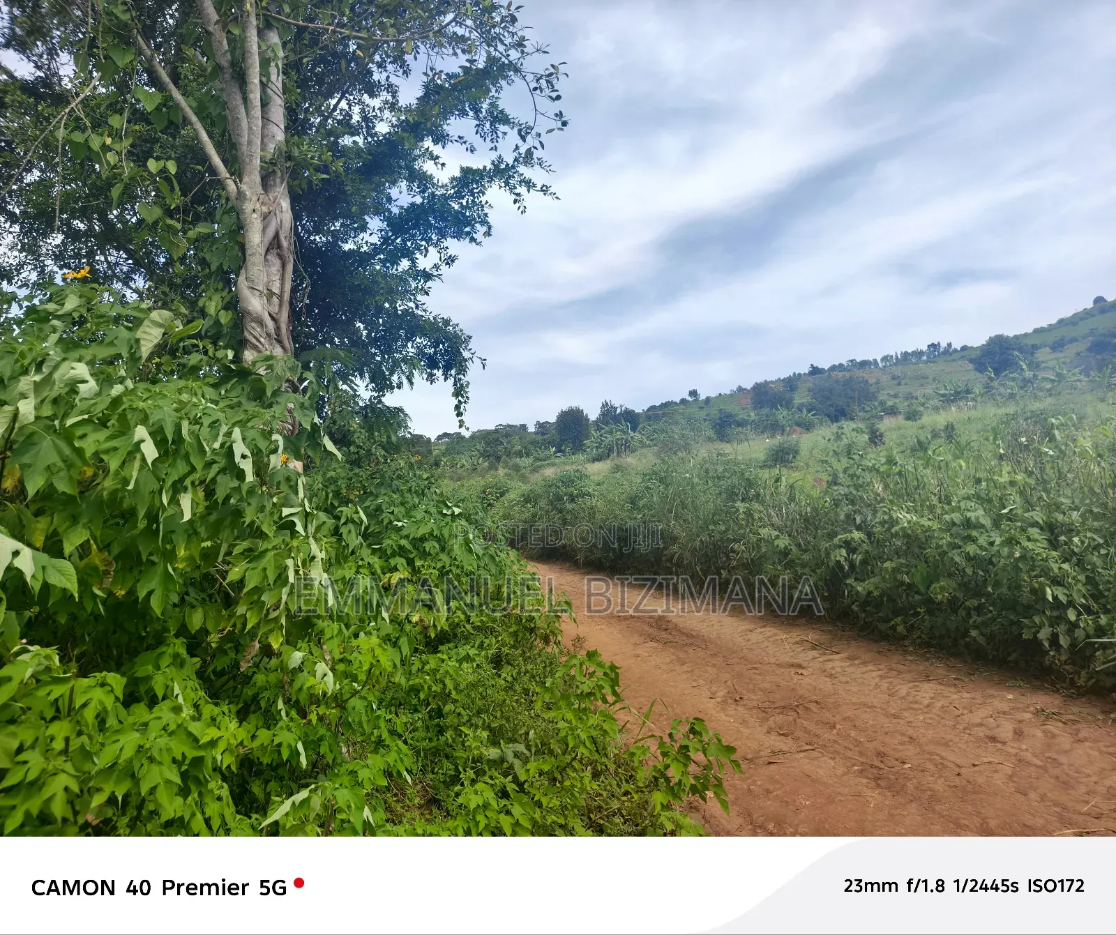 17 Acres of Land for Sale
