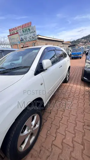 Lexus RX 2010 White