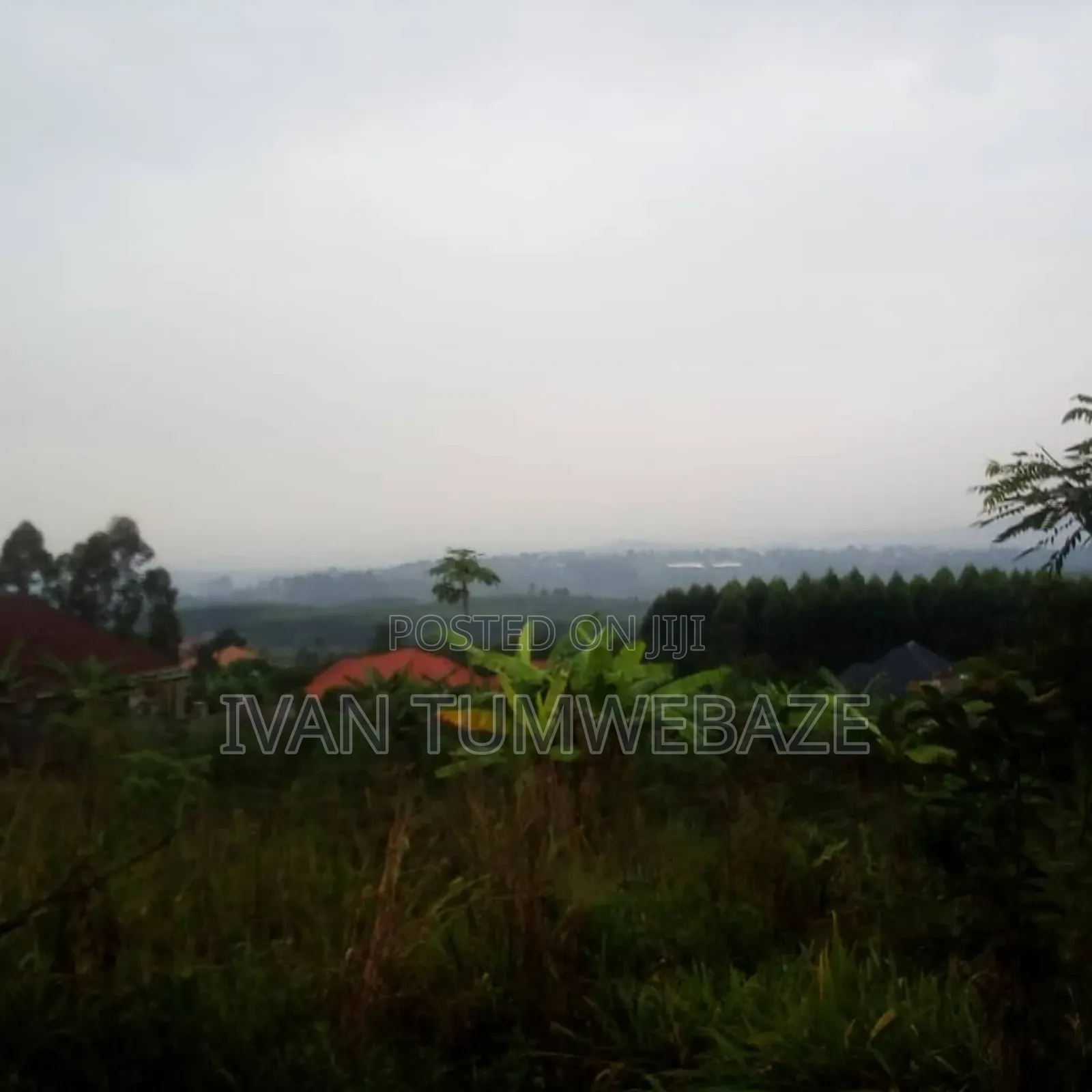 Tittled Plot 50/100ft for Sale in Bujuko Mityana Road