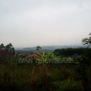 Tittled Plot 50/100ft for Sale in Bujuko Mityana Road