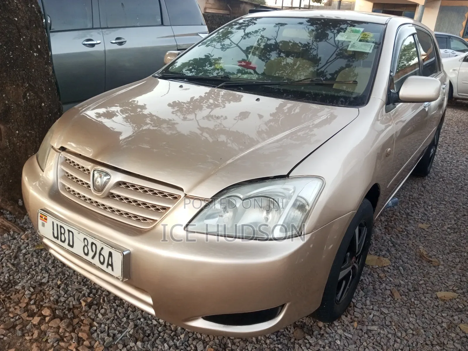 Toyota Allex 2007 Gold