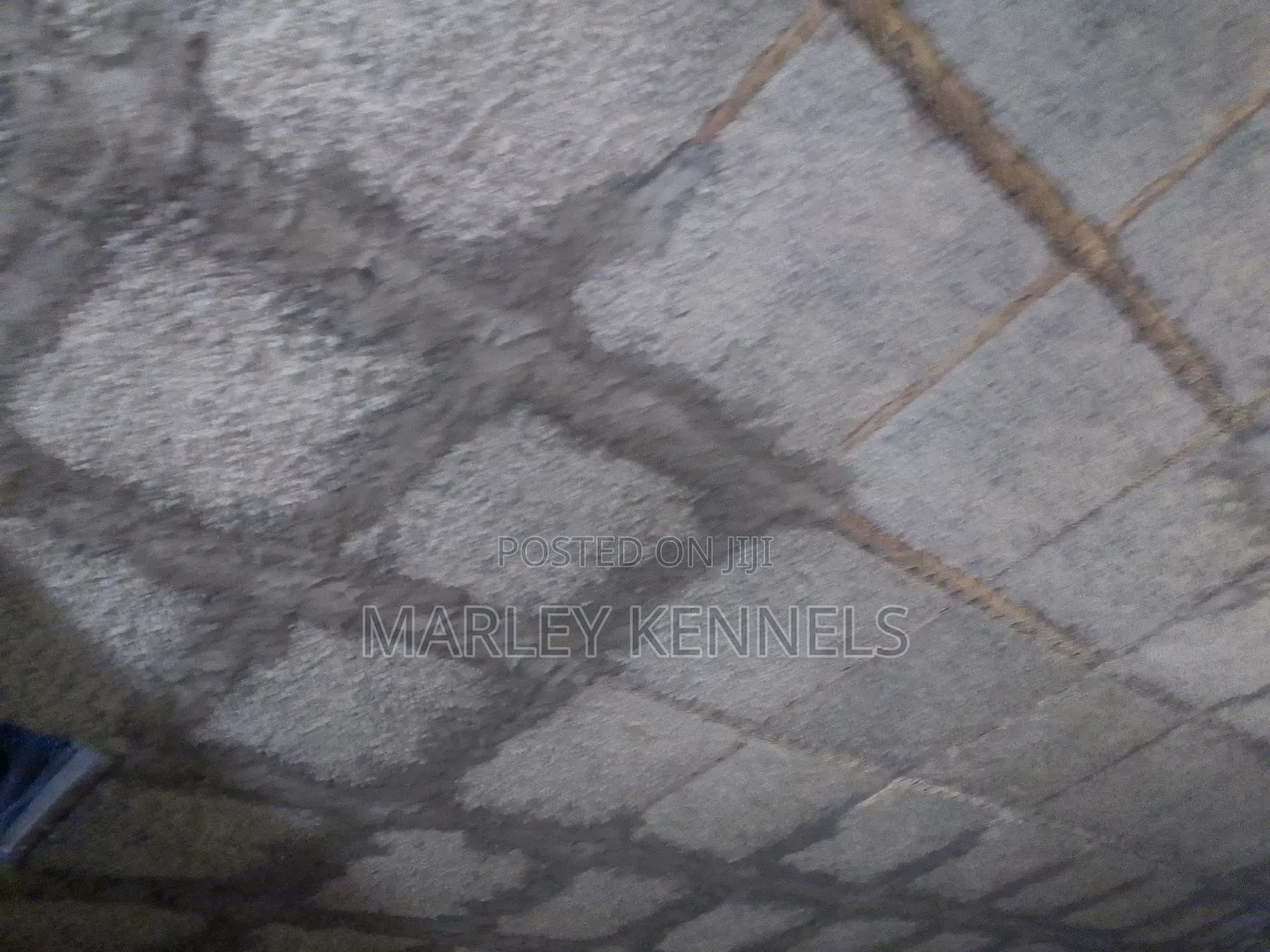3bdrm House in Matugga Gombe for sale