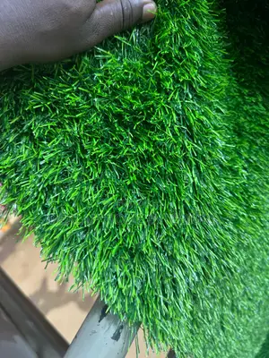 New Quality Artificial Grass ( Dark Green )And Climbing Plants