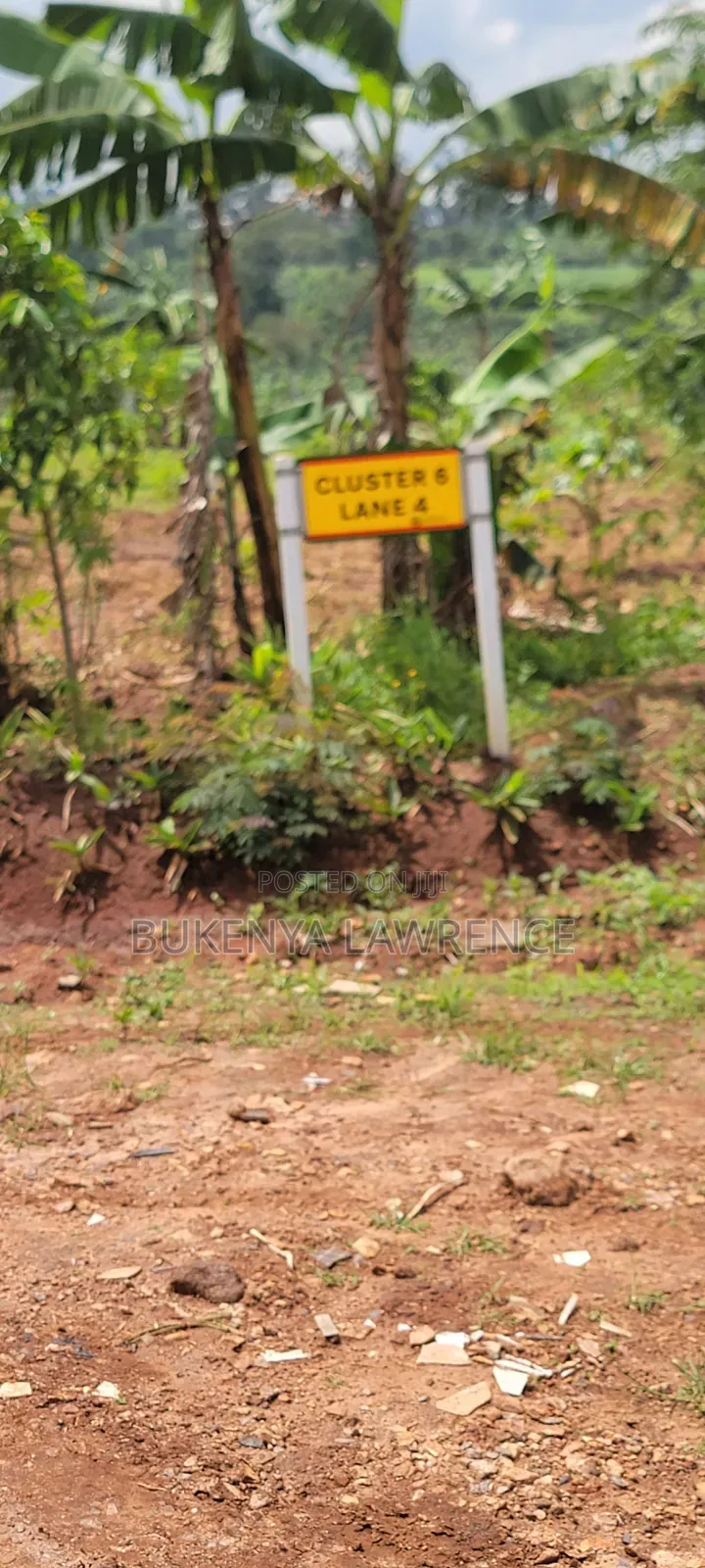 50x100 Titled Plot in Namulonge 1.5kms From Tarmac Near Namulonge at 28m