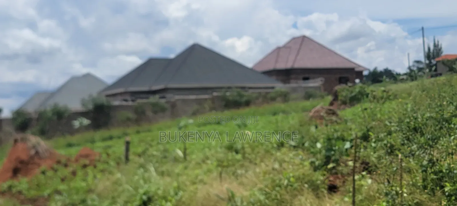 50x100 Titled Plot in Namulonge 1.5kms From Tarmac Near Namulonge at 28m