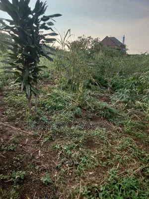 50x100 Titled Plot For Sell 28m In Wakiso Jimbo 2.5kms From Tarmac