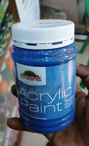The Painters' Paint Acrylic Paint